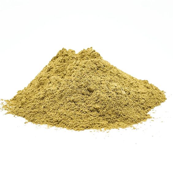 YELLOWDOCK ROOT - D Nature Way Botanical